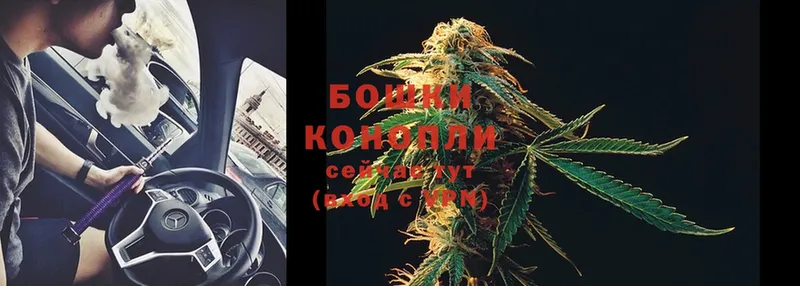 Канабис SATIVA & INDICA  Буинск 